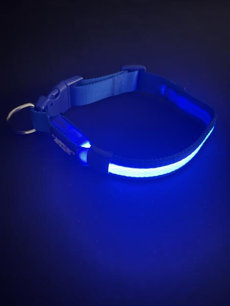 Medium Blue LED Dog Collar picture