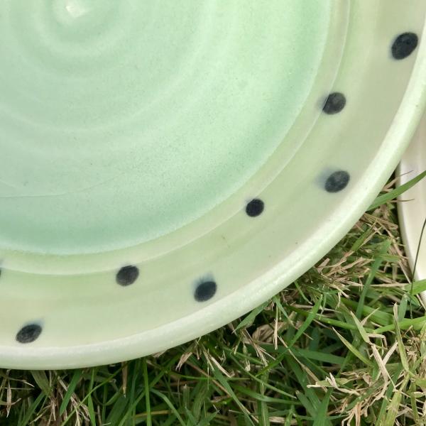 Polka Dot Plate picture