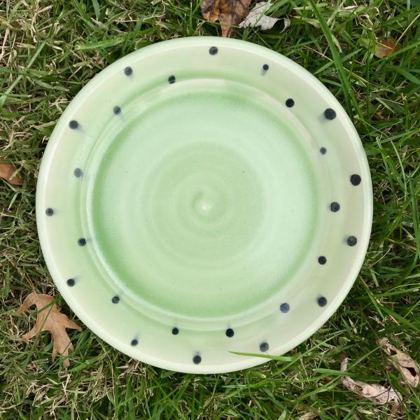 Polka Dot Plate picture