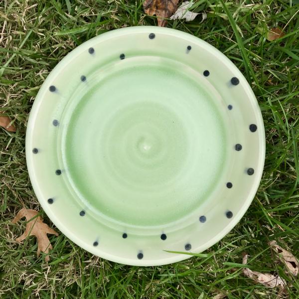 Polka Dot Plate