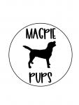 MagPie Pups
