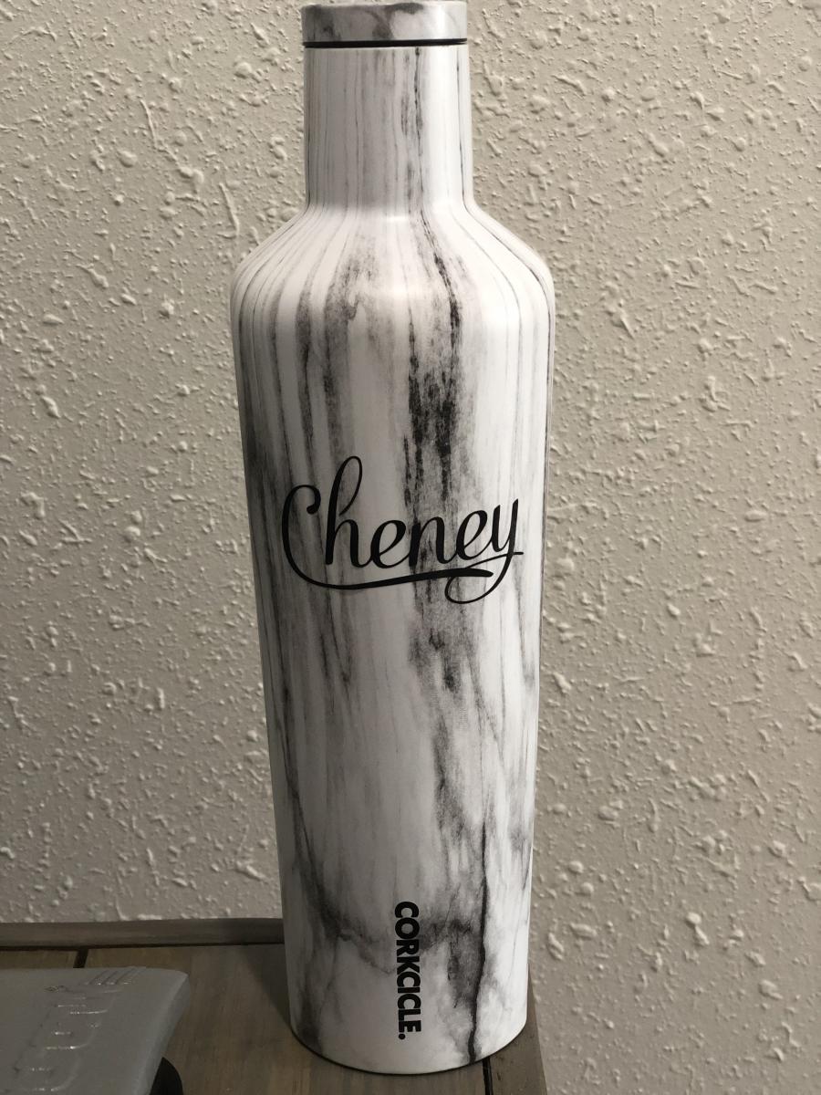 Corkcicle 25oz Canteen Snowdrift picture