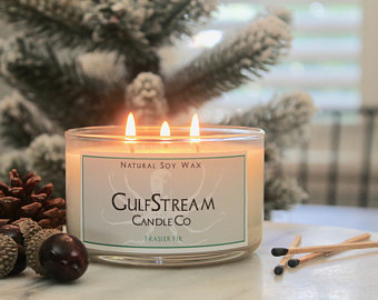 Fraser Fir / 3 wick picture