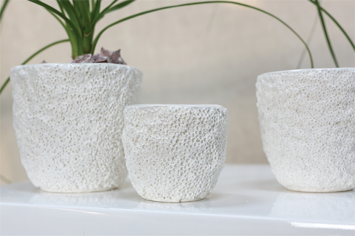 12 oz. Reef Candle picture