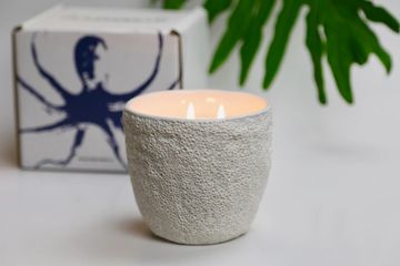 12 oz. Reef Candle picture