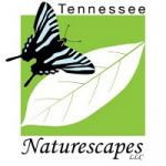 Tennessee Naturescapes