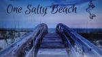 One Salty Beach
