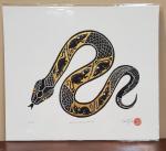 You Are What You Eat #9 - Reticulated Python