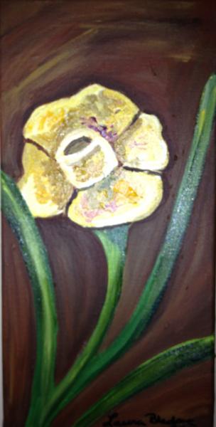 "Buttercup on Chocolate" 6"x12"