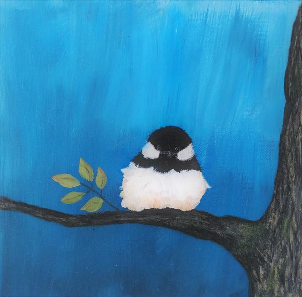 Chickadee picture