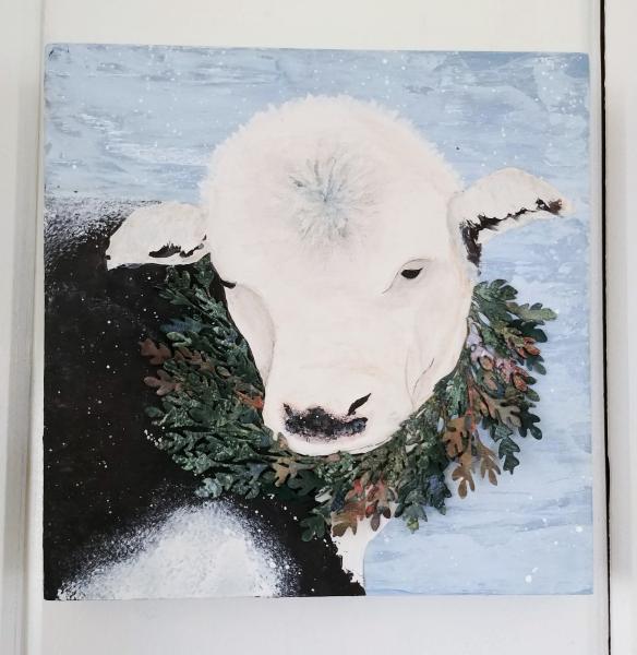 Christmas Cow picture