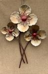Poppy