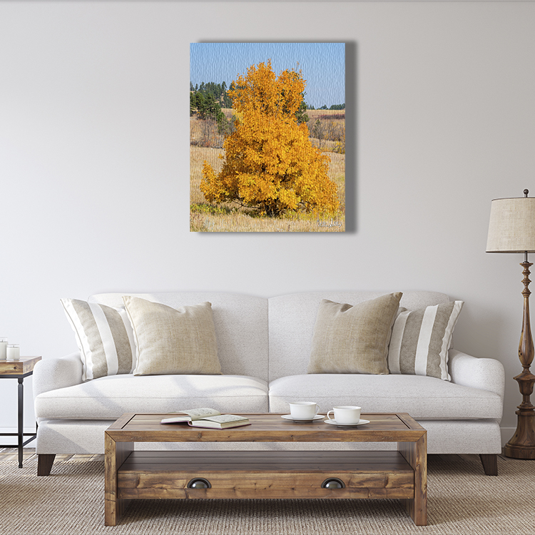 Golden Years picture