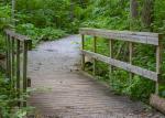 Bridge to Solitude