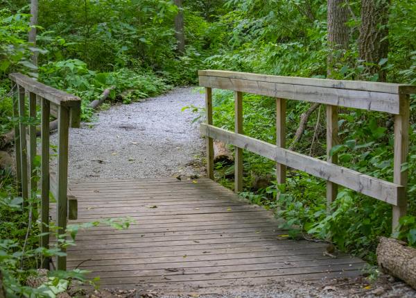 Bridge to Solitude