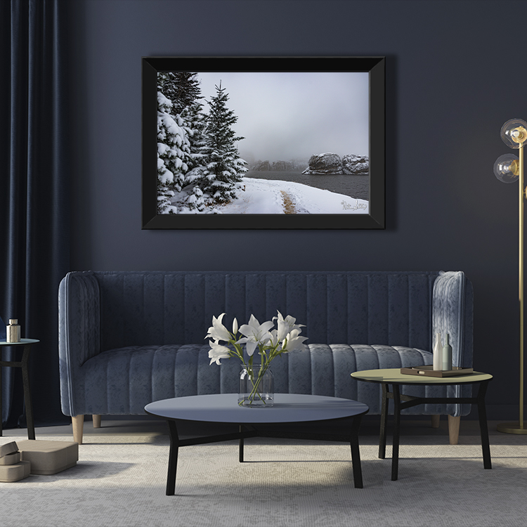 Path to Winter picture