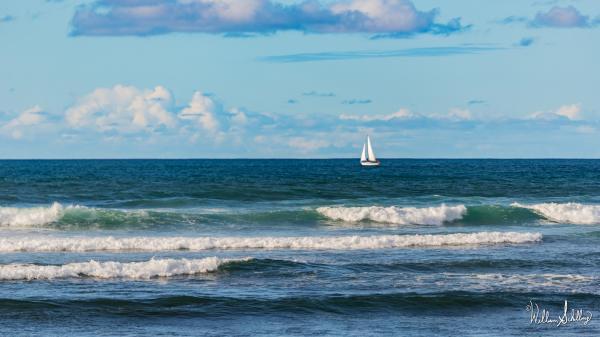 Beyond the Surf picture