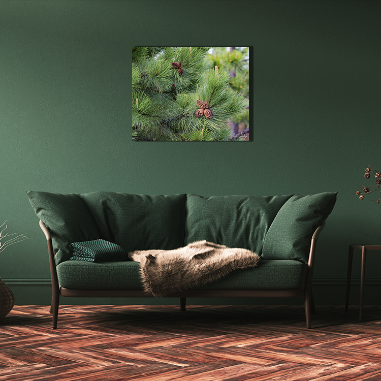 Dew You See Me picture