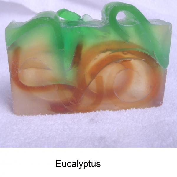 Eucalyptus