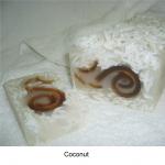 Coconut Soap