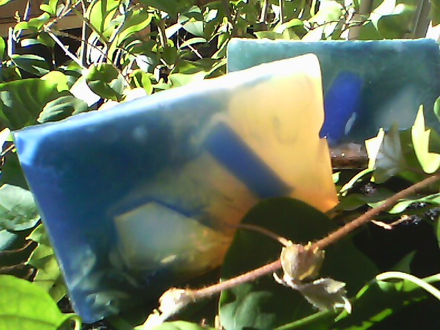 Art in the Park Soap picture