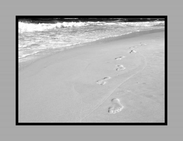 Footprints in the Sand 16x20 picture