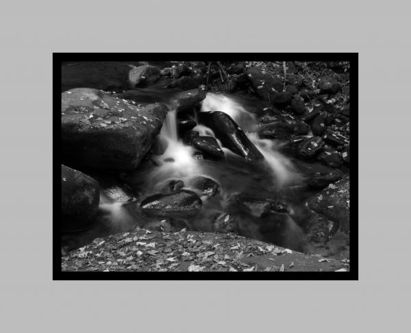 Autumn Mountain Stream B&W 16x20