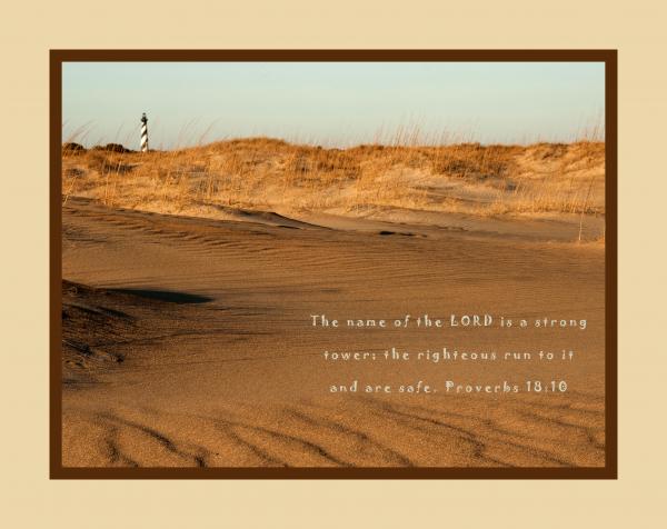 The Name of the LORD Proverbs 18:10 16x20