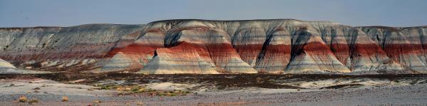 Panorama of Petrified Forest in Arizona 10x40 picture