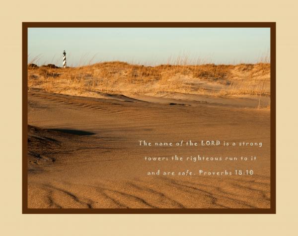 The Name of the LORD Proverbs 18:10 16x20 picture