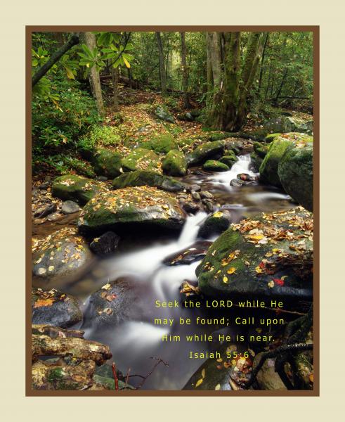 Seek the LORD Isaiah 55:6 11x14 picture