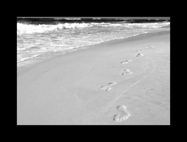 Footprints in the Sand 11x14 picture