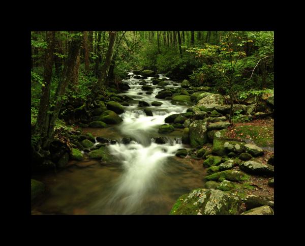 Smoky Mountain Stream Color 11x14