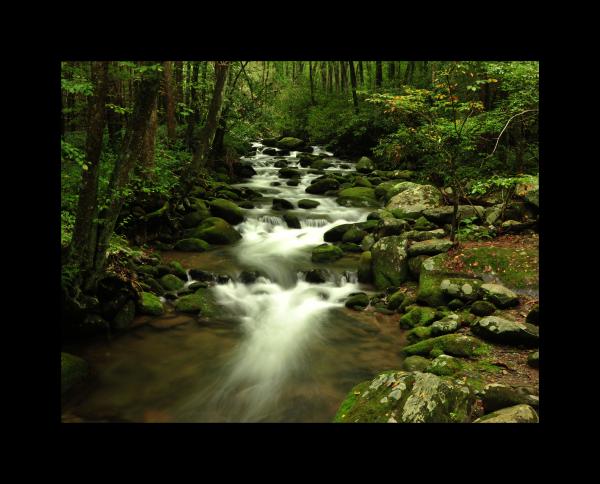 Smoky Mountain Stream Color 11x14 picture