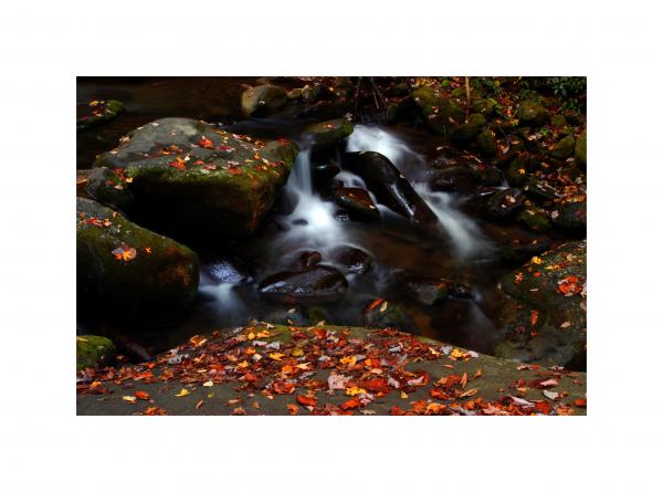 Autumn Mountain Stream 11x14 picture