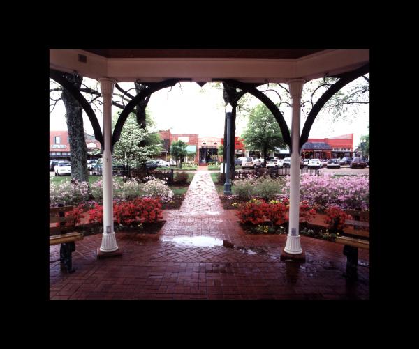 Collierville from the  Gazebo 16x20 picture