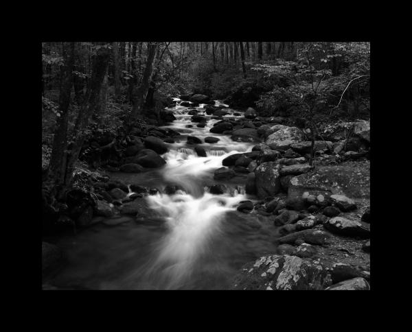 Smoky Mountain Stream B&W 11x14