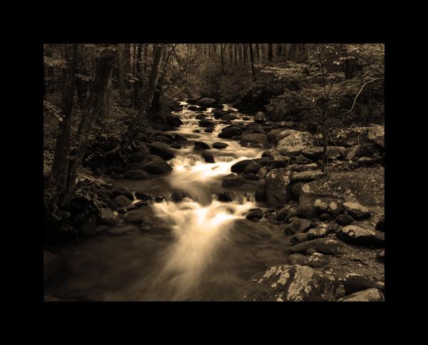 Smoky Mountain Stream Tinted 11x14