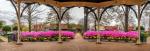 Panorama Collierville Square 10x28