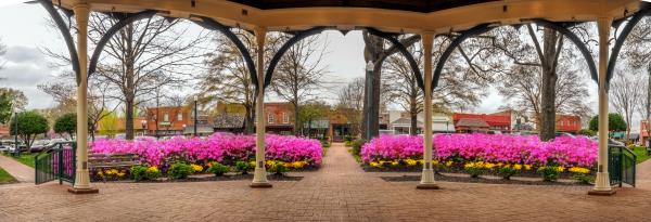 Panorama Collierville Square 10x28 picture