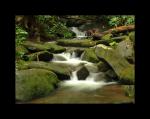 Smoky Mountain Rocky Stream 11x14