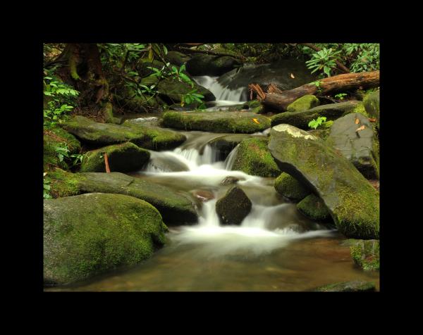 Smoky Mountain Rocky Stream 11x14 picture