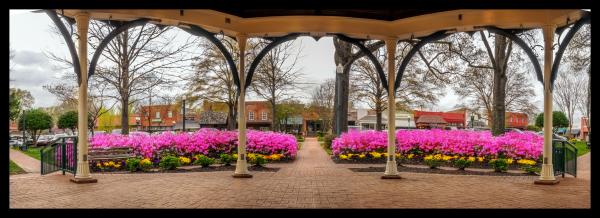 Panorama Collierville Square Framed 11x31 picture