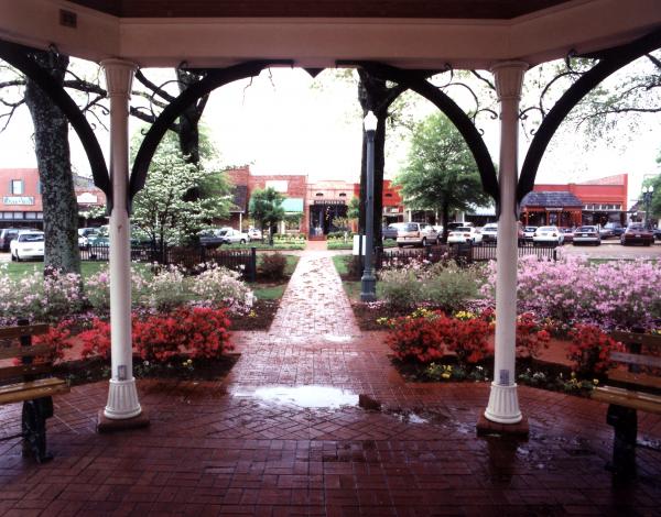 Collierville from the Gazebo 16x20 picture