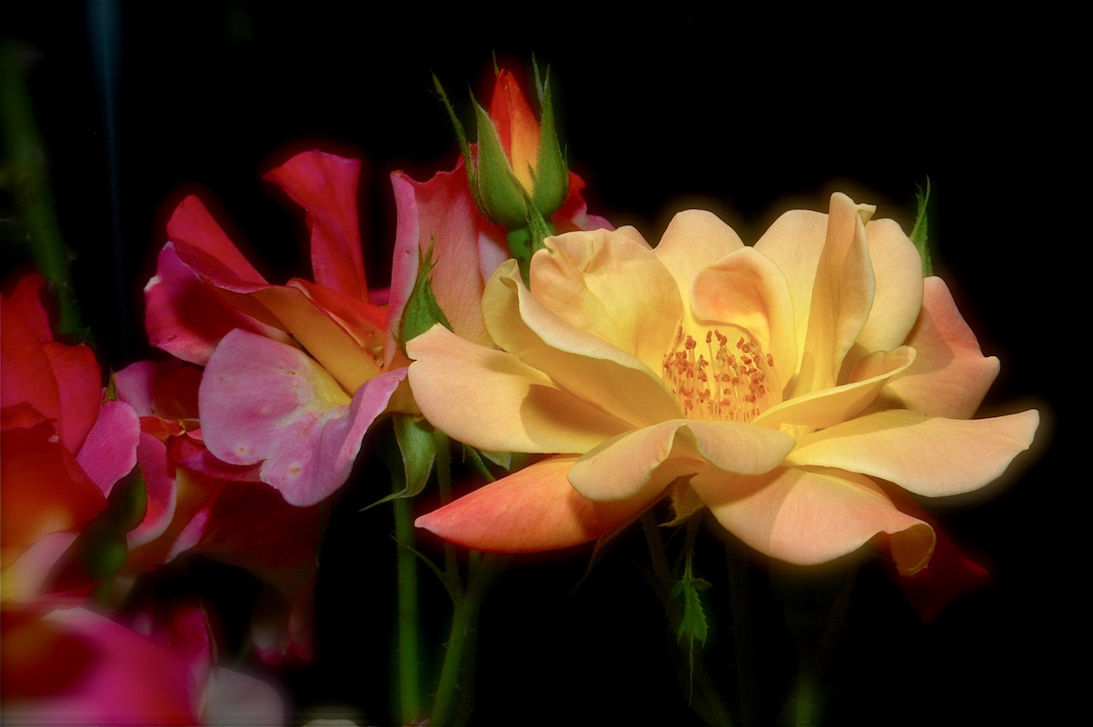 Images as you see them picture