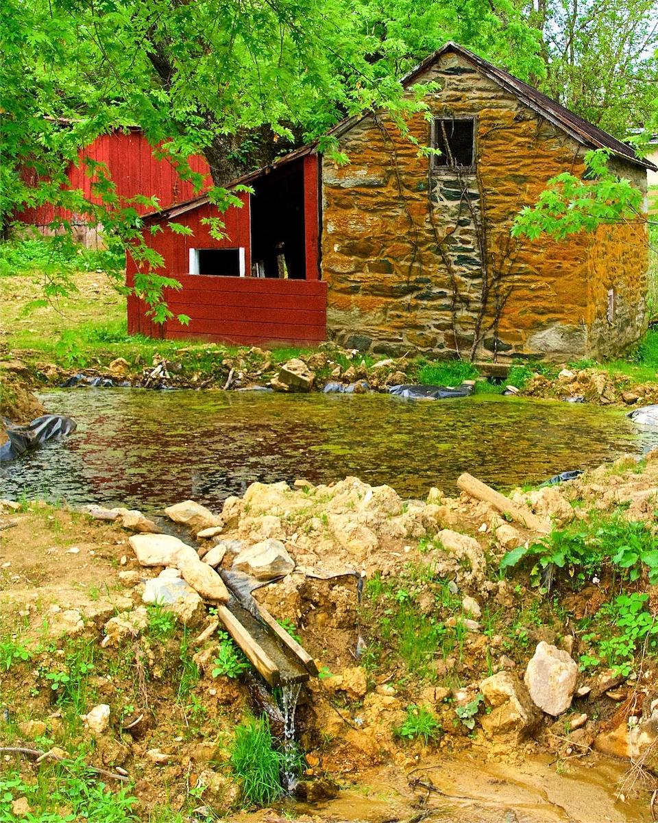 Images as you see them picture