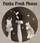 Funky Fresh Photos