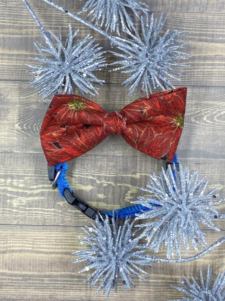 Poinsettia Dog Bowtie picture