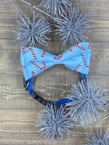 Candy Cane Dog Bowtie