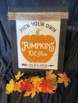 Pumpkins for sale